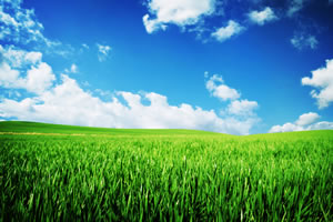 Green fields and blue sky